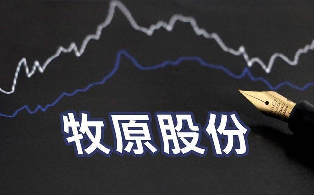 乐天堂-关于谣言再起，新疆大核被交易，山东再度获利？的信息